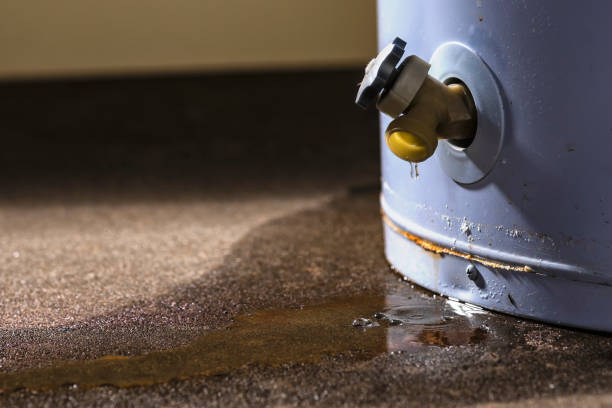 Best Sewage cleanup and water damage restoration  in Camano, WA