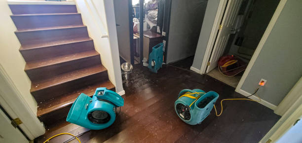 Best Carpet water damage restoration  in Camano, WA