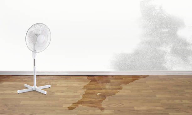 Best 24-hour water damage restoration  in Camano, WA