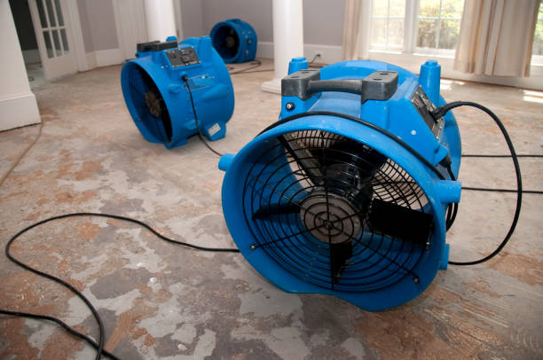 Best Fire Damage Restoration  in Camano, WA