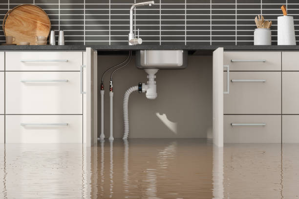 Best Local water damage restoration  in Camano, WA